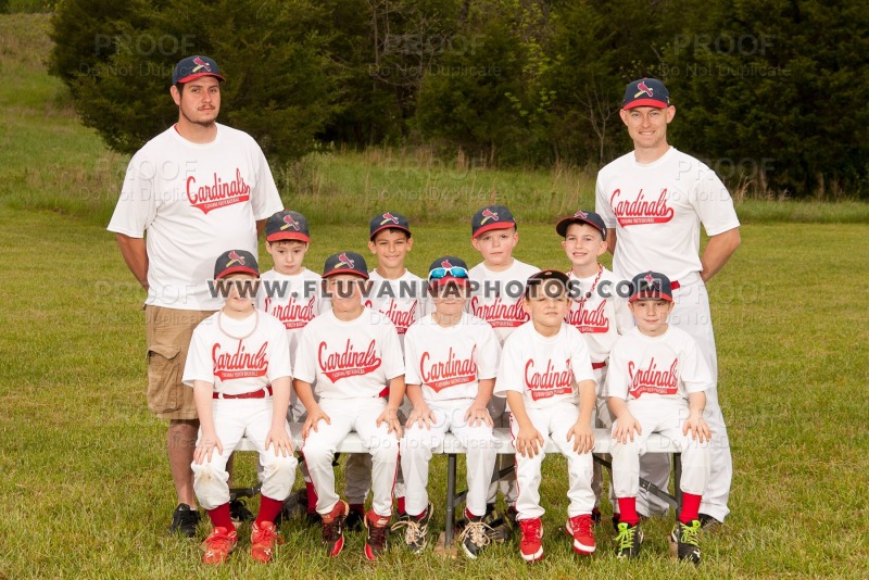 FYB 10U All Star Banner Prints - Photo Galleries - Fluvanna Youth Baseball  (FYB) - Fluvanna Sports Photography