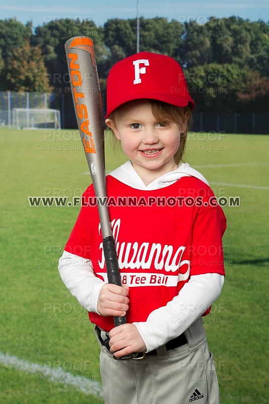 FYB 10U All Star Banner Prints - Photo Galleries - Fluvanna Youth Baseball  (FYB) - Fluvanna Sports Photography