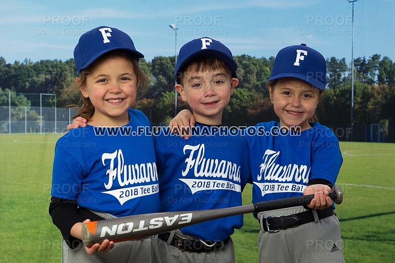 FYB 10U All Star Banner Prints - Photo Galleries - Fluvanna Youth Baseball  (FYB) - Fluvanna Sports Photography