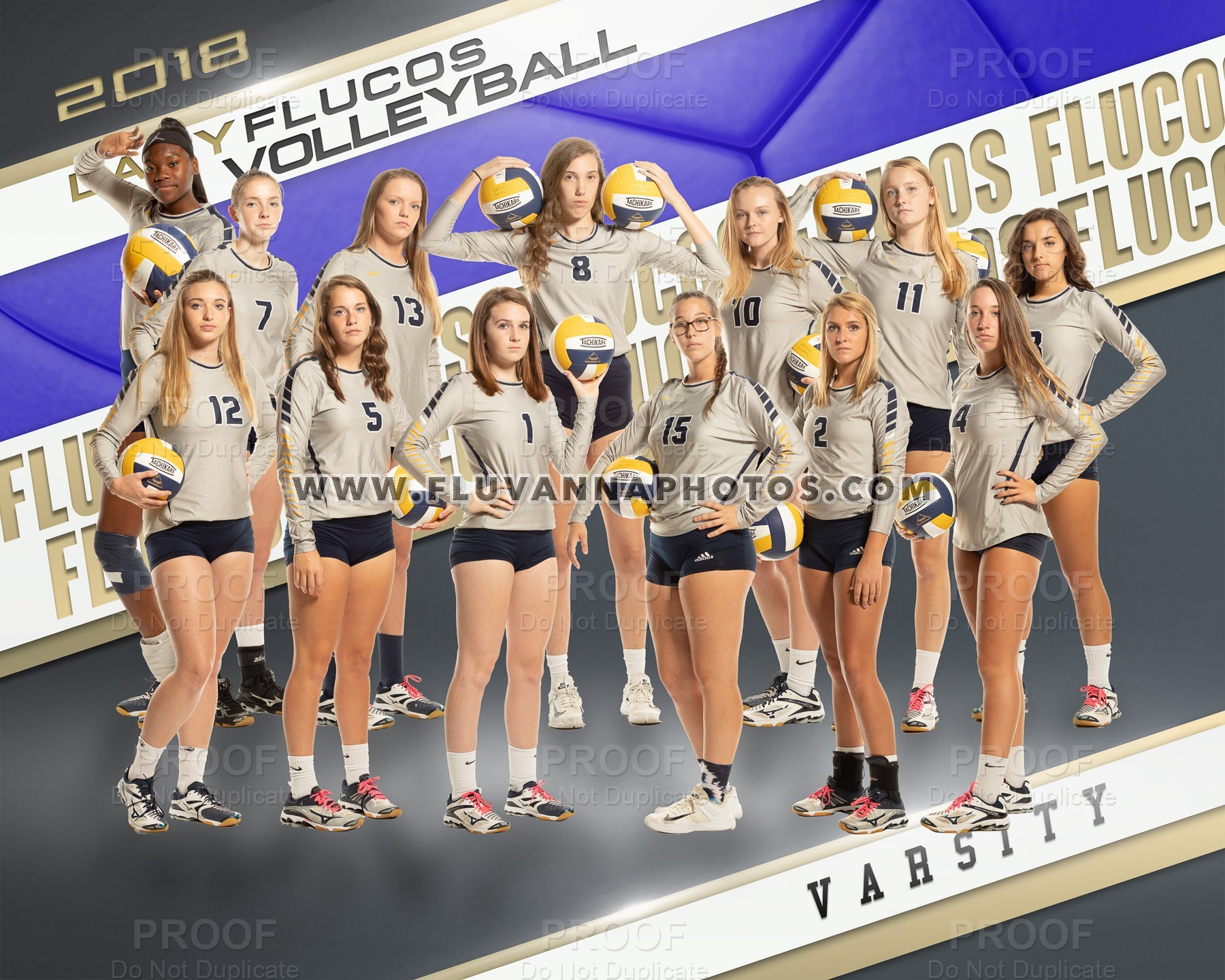 Varsity Volleyball Teamindividual Photos Fchsfms Photos 2018